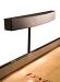 Shuffleboard Lights